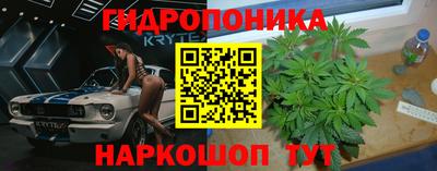 крисы Апрелевка