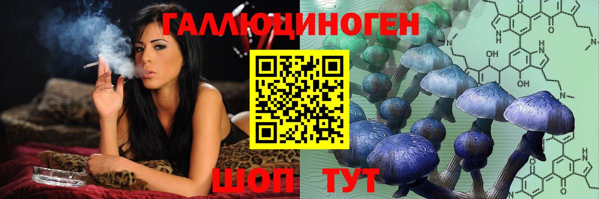 Псилоцибиновые грибы Psilocybine cubensis Белорецк